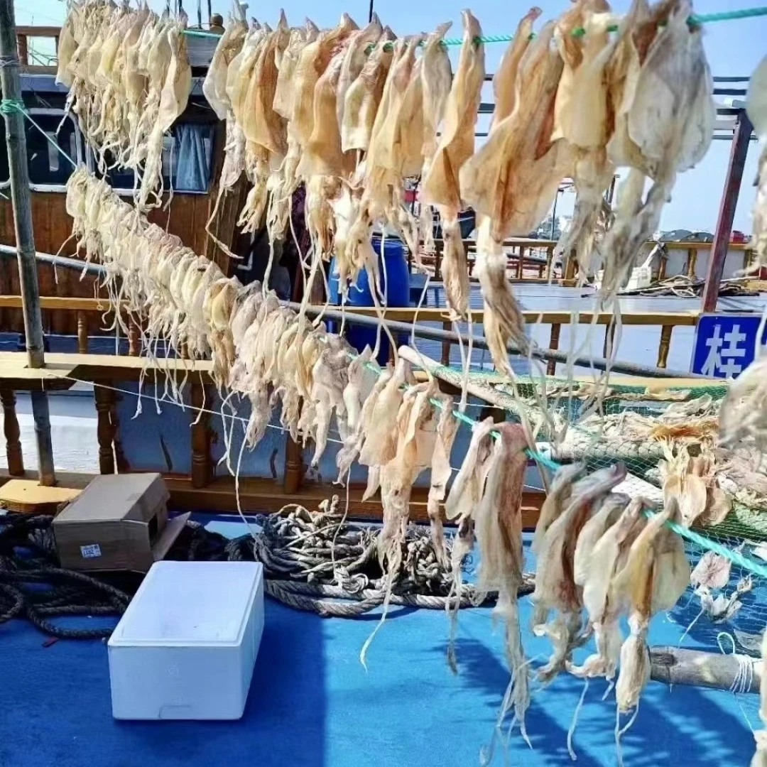 （直播现拍链接)船晒稀有小血墨