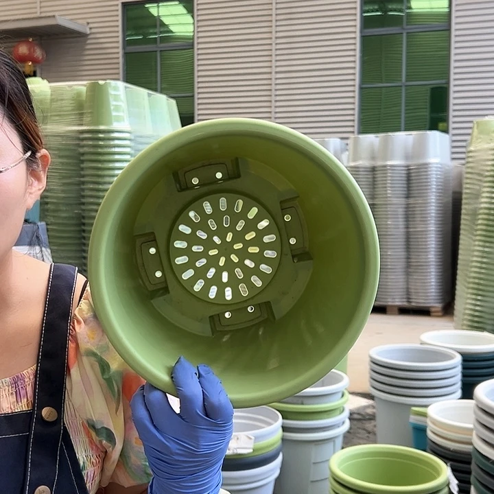 球根盆3#果绿色5个无托