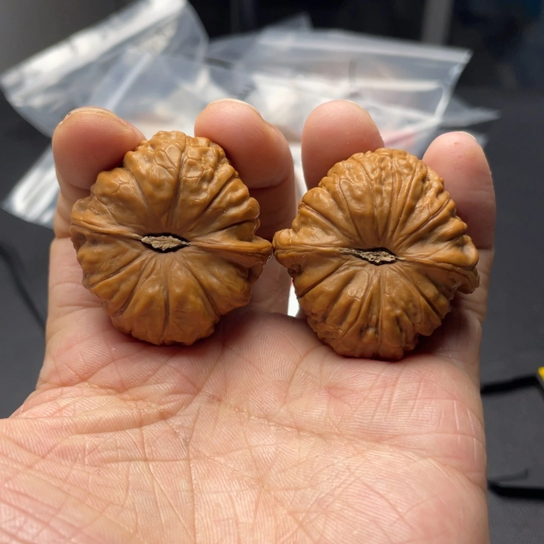 核桃全品南瓜墩已打底41尺