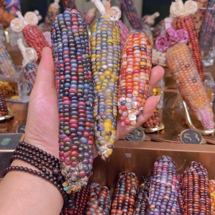 柏香籽/百香籽吊坠ʚ**星