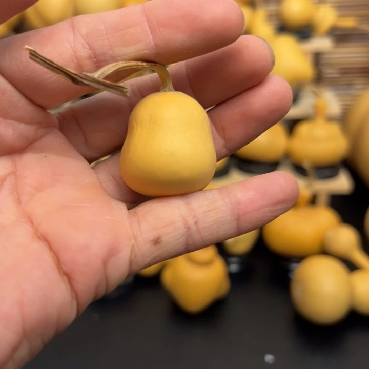 揽*2255565555669999999