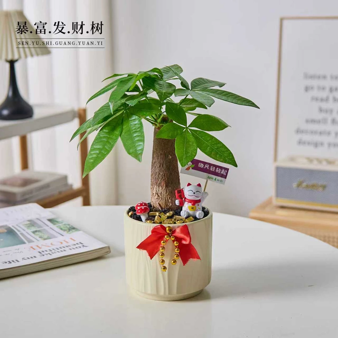 单杆发财树盆栽客厅桌面绿植盆景花卉净化空气耐阴好养活植物