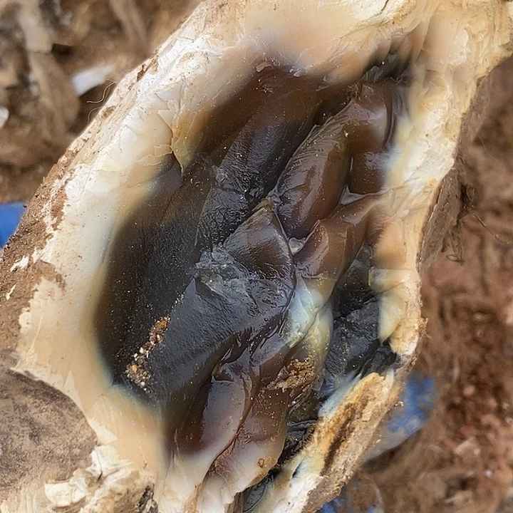 定制玛瑙用****5玛瑙定制不退不换