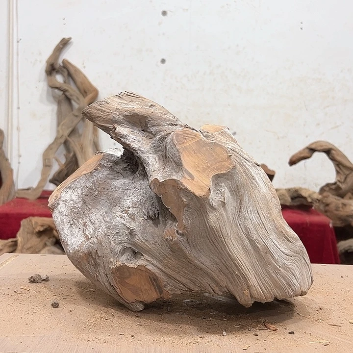 柏木一*我们都是好孩子呀我也是