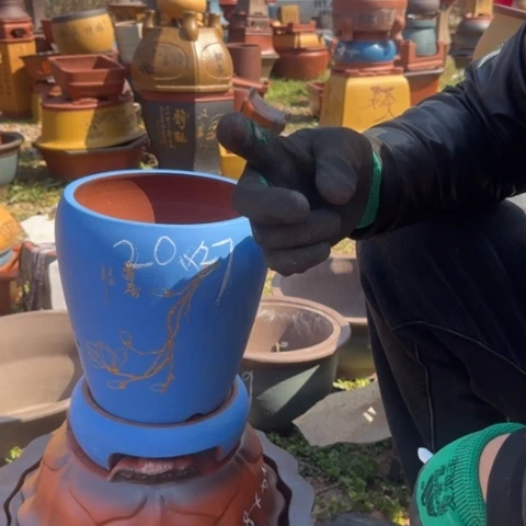 紫砂花盆紫砂花盆盆景盆栽