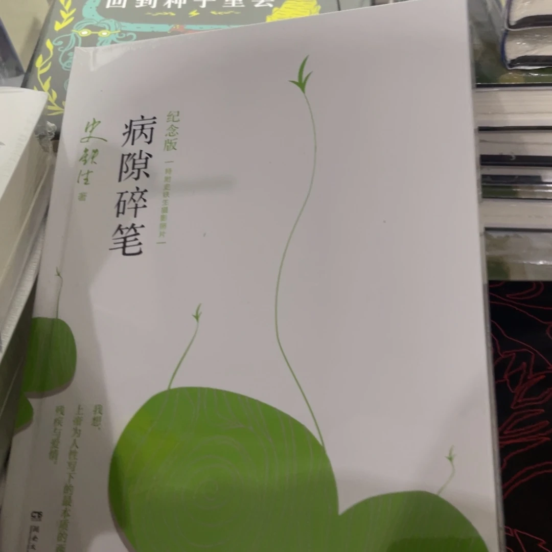 病隙碎笔精装一个