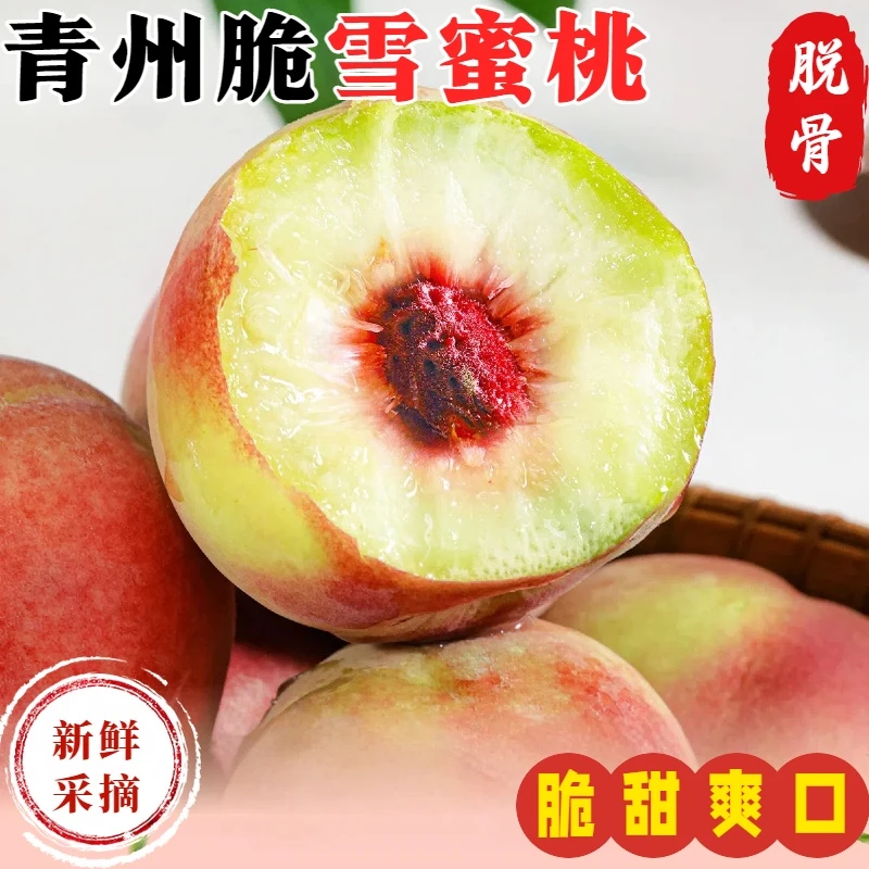 【新鲜】正宗青州蜜桃脆甜多汁冬雪蜜桃脱骨毛桃清脆多汁产地直发