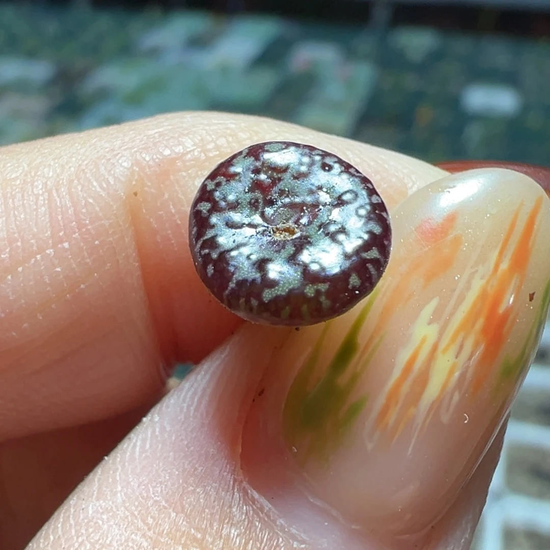 超绝小红红 侧面带流水