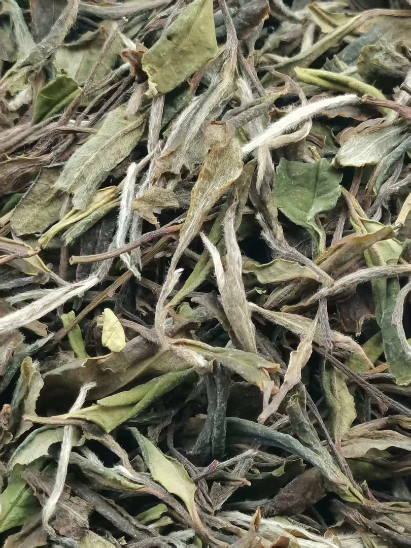 磻溪2020群体种白茶贡眉花蜜香荒野气息口感浓稠醇厚耐泡回甘生津