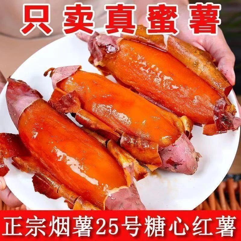 【现挖现发】正宗山东烟薯25号新鲜现挖流油糖心蜜薯软糯香甜应季