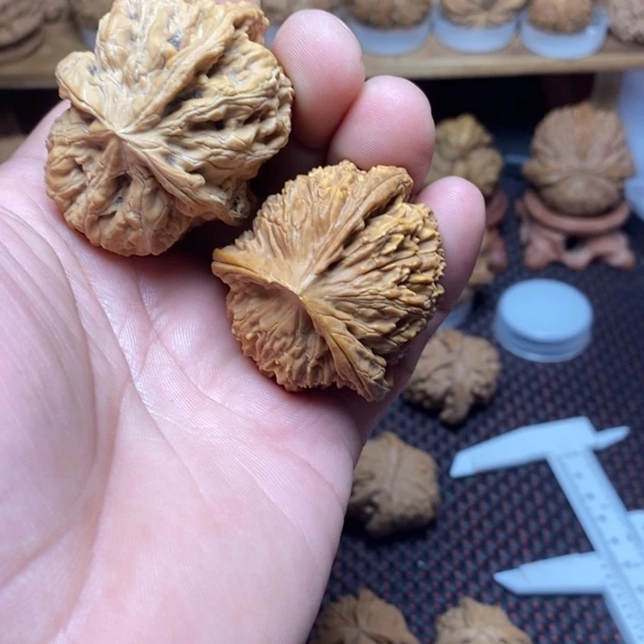 天***顺文玩核桃把件文玩