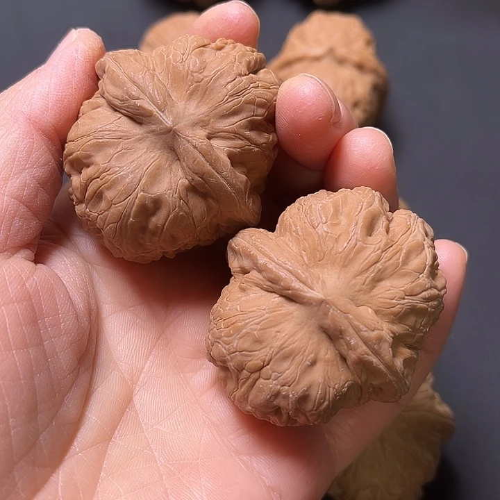 核桃元宝白茶全品45+