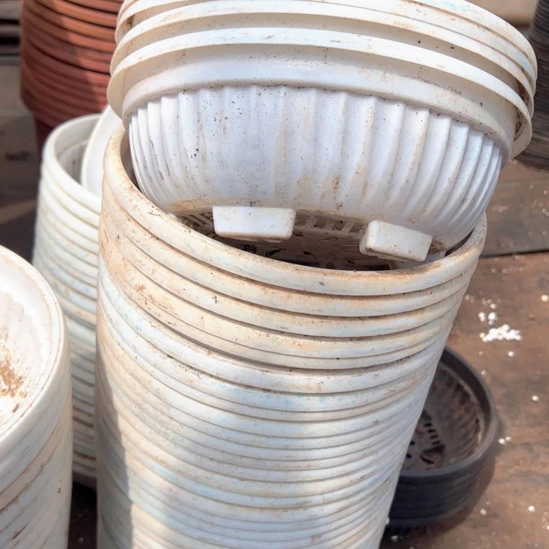 白元宝盆26口径10高 5个