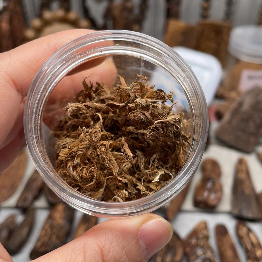 沉香碎屑沉香芽庄勾丝2克