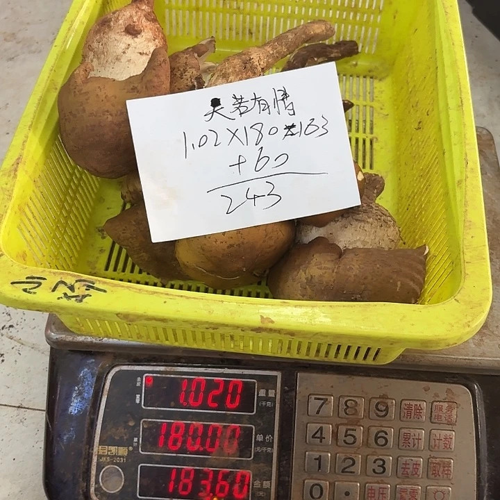 天***情南华1111111111111111中国大陆