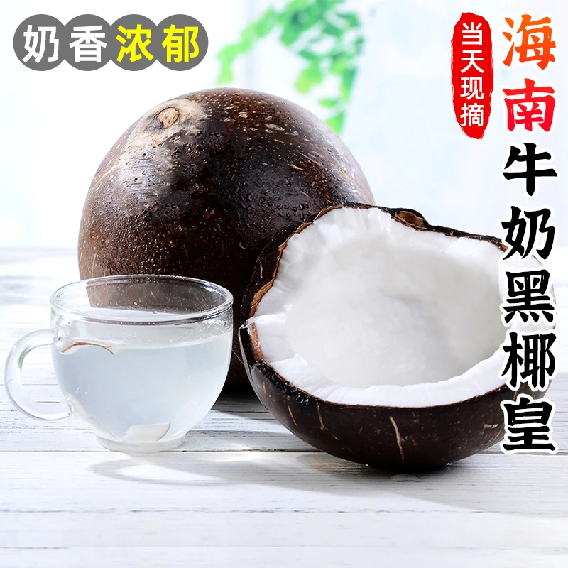 【椰香浓郁】海南牛奶黑椰皇2-9个毛椰椰青椰宝老椰子肉椰汁水果