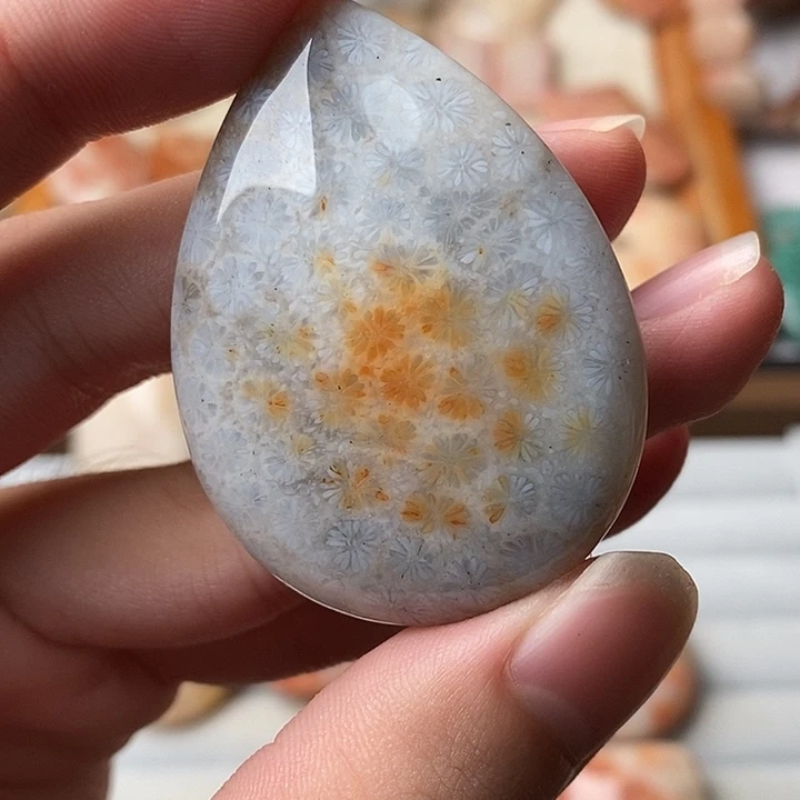 幸***人硅化玉未镶嵌颈饰