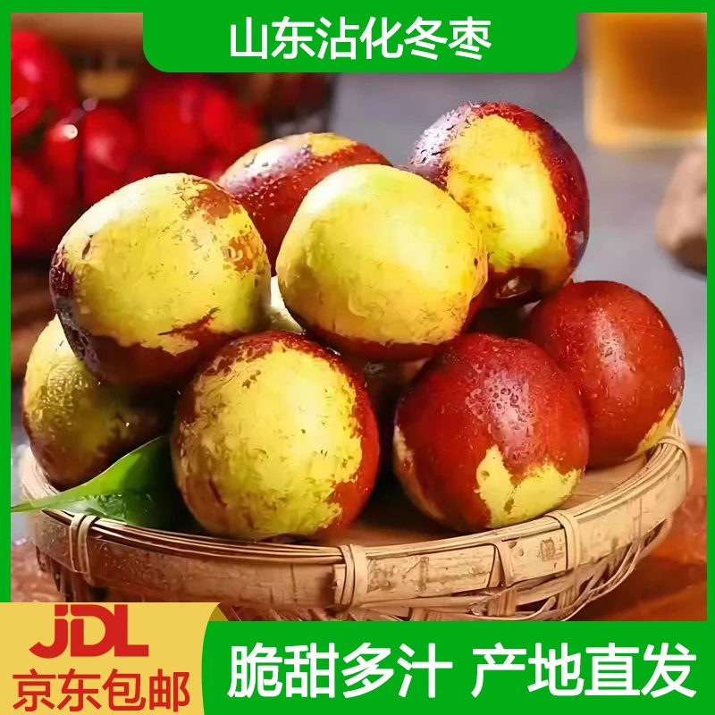 山东正宗沾化冬枣应季水果现摘现发脆甜多汁JD快递