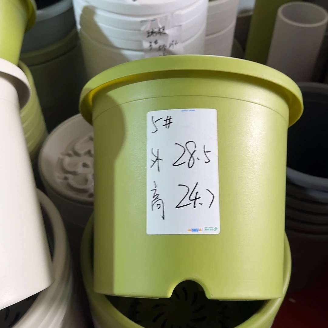 树脂四季5号带托6个果绿