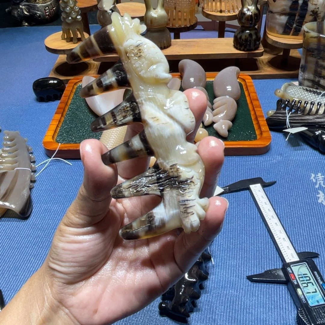 白水龙骨齿不退换