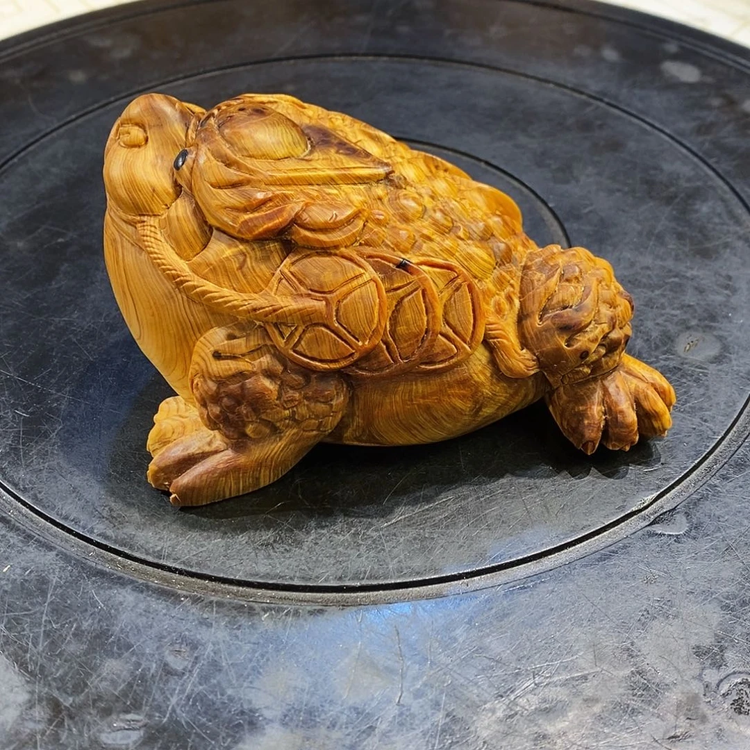 柏木（崖柏）崖柏柏木