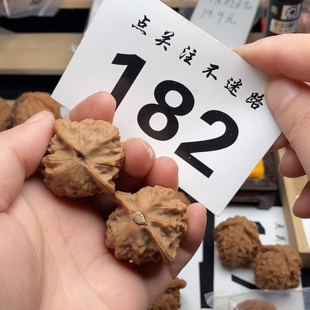 核桃35瓷娃娃。