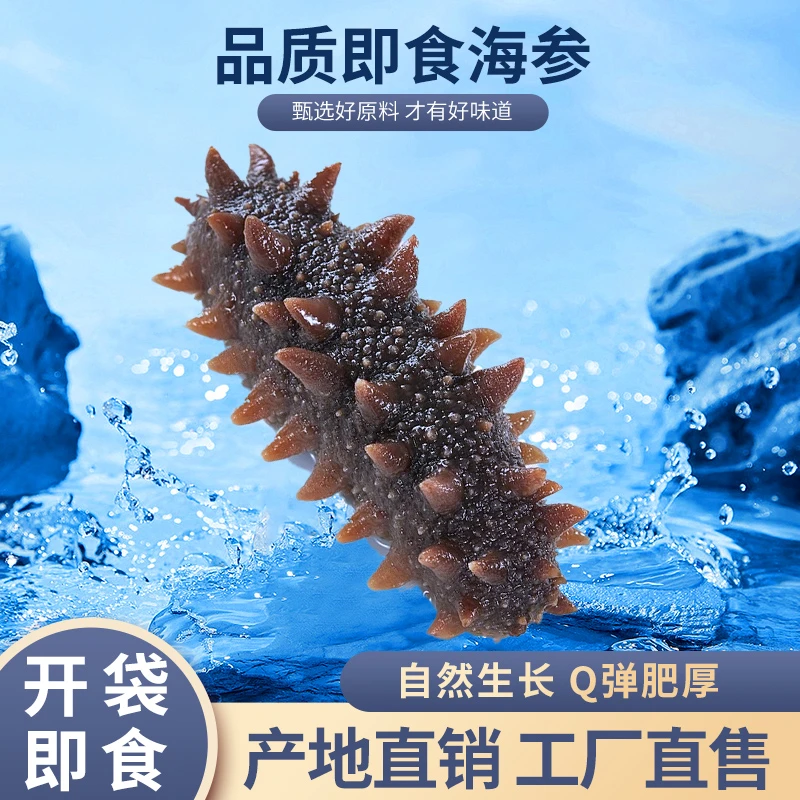 【渔三宝】烟台发货 9斤装即食/鲜食海参  速冻发货顺丰到家