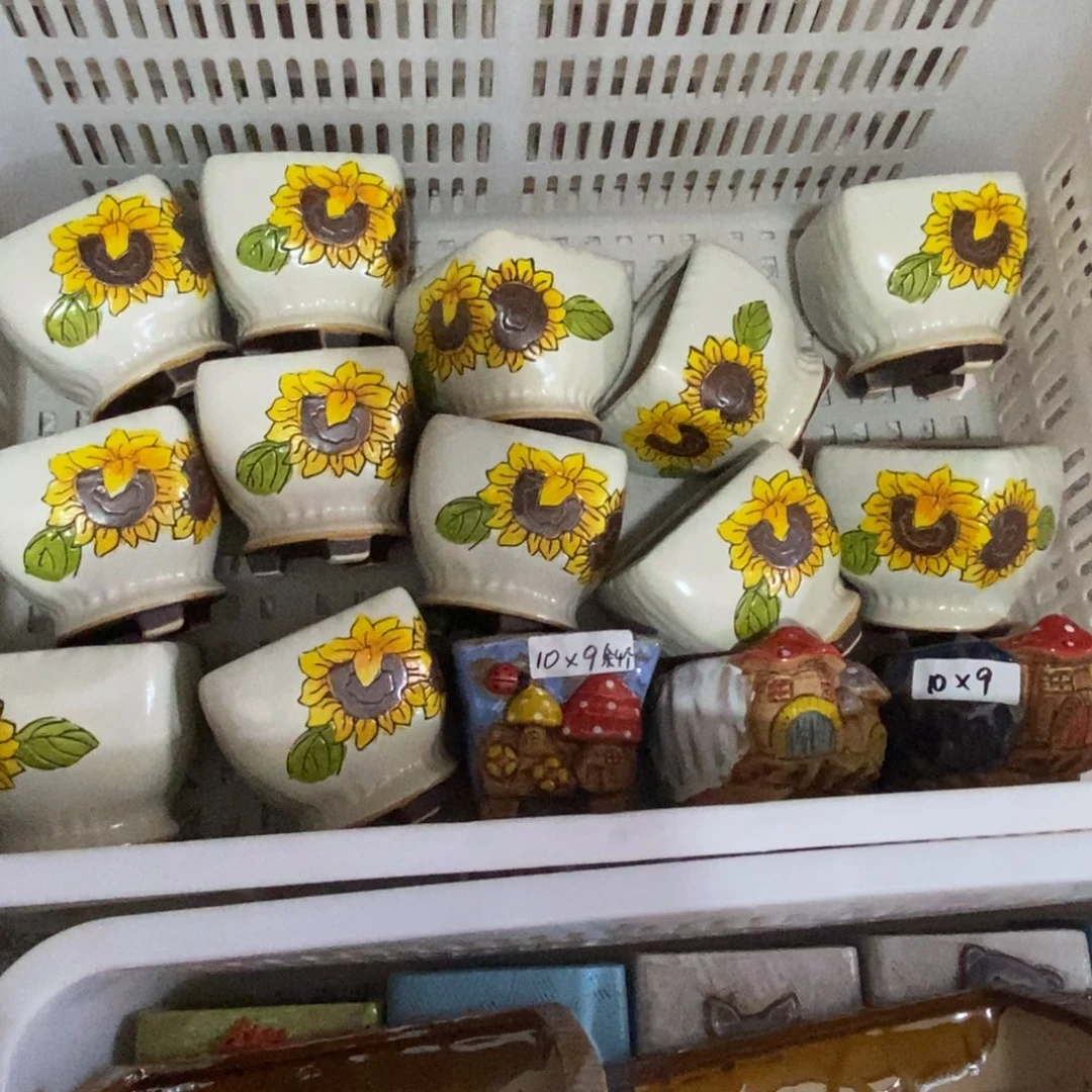 【闪购商品】一****界12个向日葵，蘑菇3个