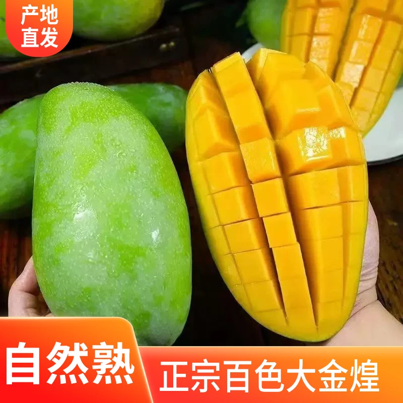 新鲜广西金煌芒现摘9.5斤大果整箱味美正宗现发当季百色大金煌
