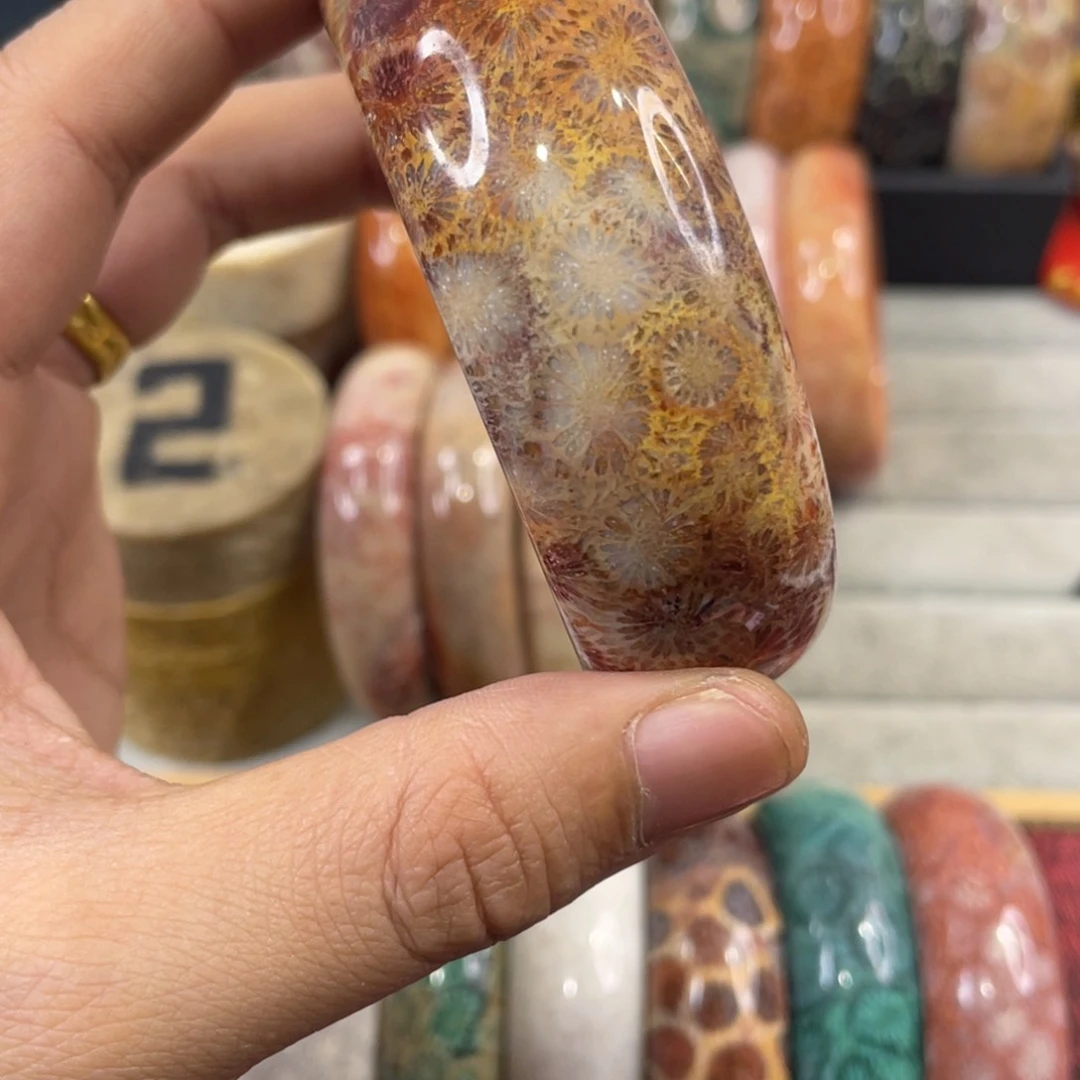 未镶嵌手镯硅化玉