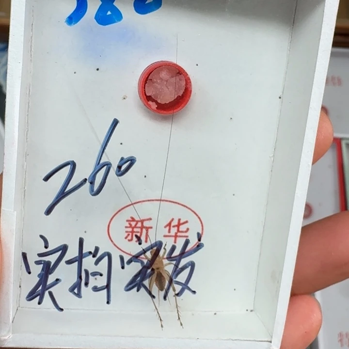 高***军蟋蟀蝈蝈我在外面11111