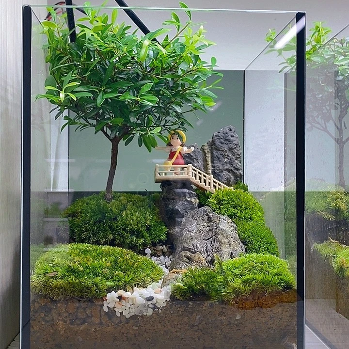 无花朵松下问童子