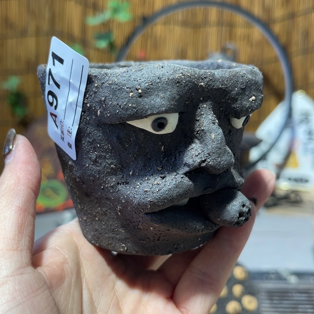 木村信弘柴烧保平