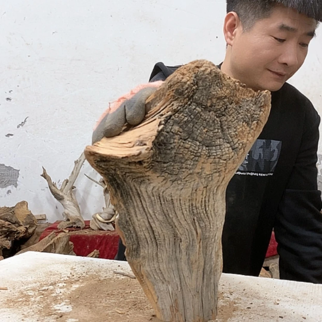 【闪购商品】柏木老*我们都是好孩子