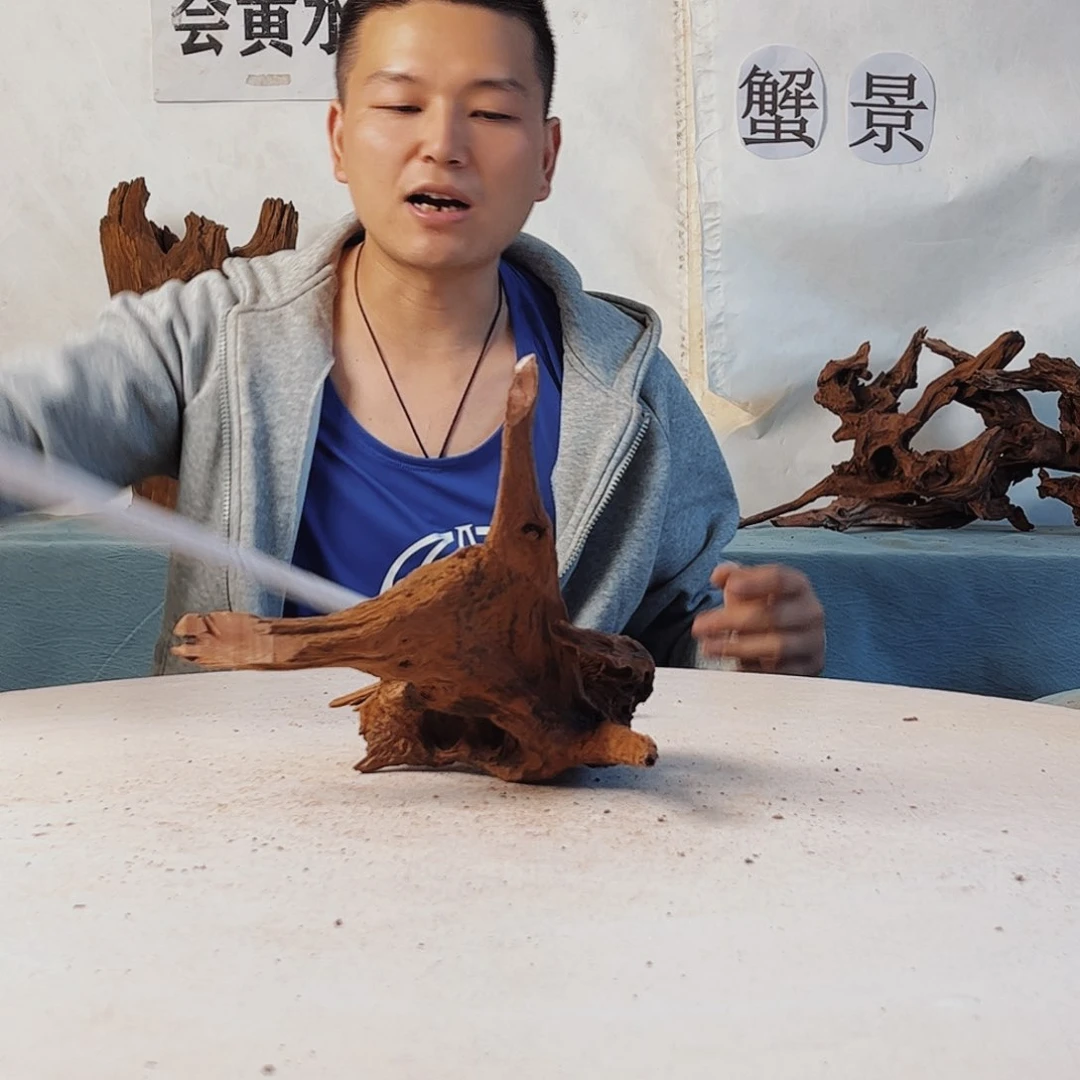 沉木造景爬宠造景