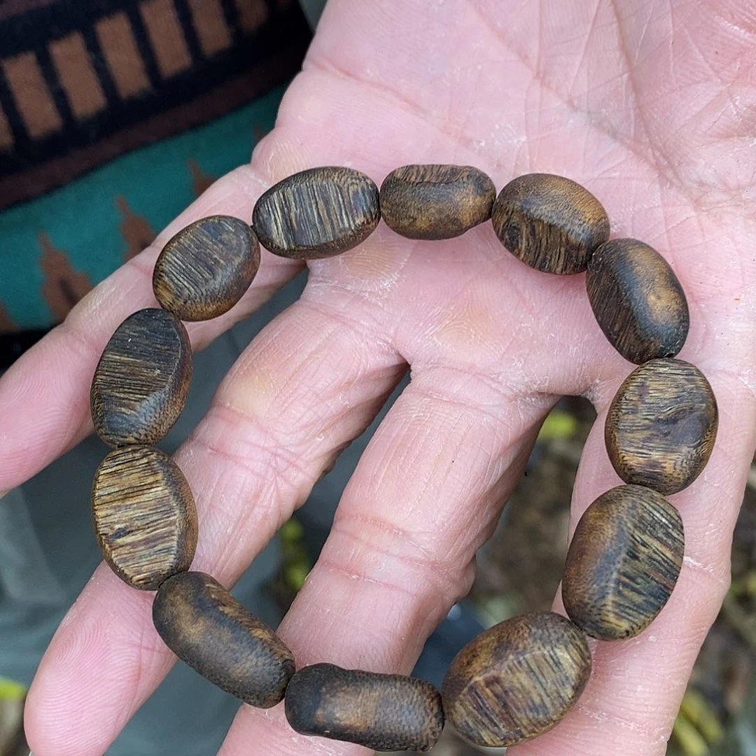 沉香沉香碎屑留疤单10克多样性发一