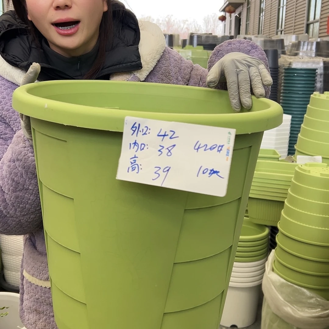 玫瑰盆420#果绿4个无托