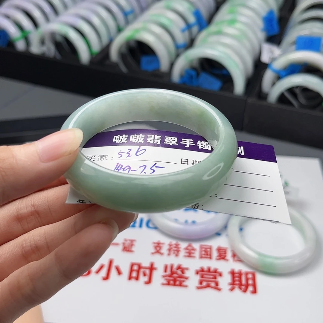 未镶嵌手镯翡翠一***羊
