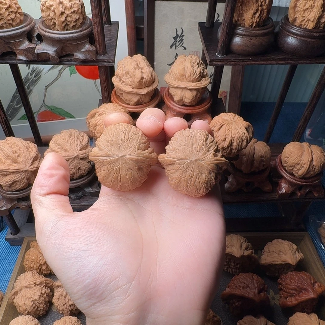 君****核桃铁锤妹妹668888