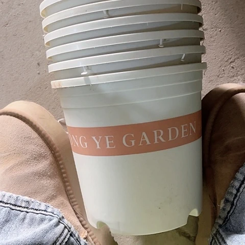 树脂瑕疵加仑盆7个无托