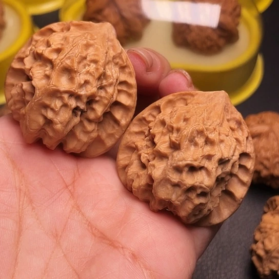 E*i文玩核桃白蛇骨一对