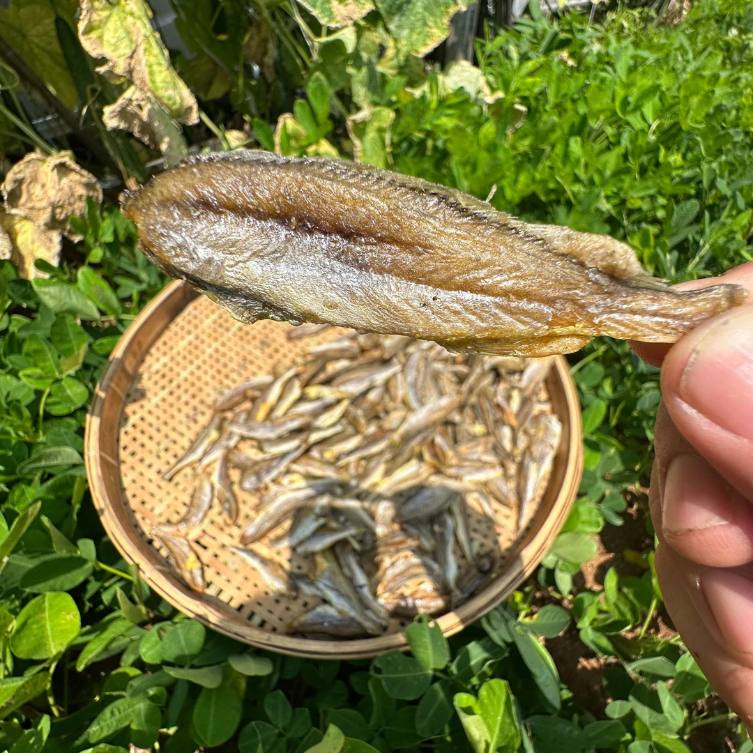 (琳三妹专属1）F福建特产即食黄鱼酥小零食