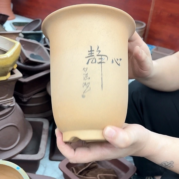 紫砂花盆紫砂的花也太