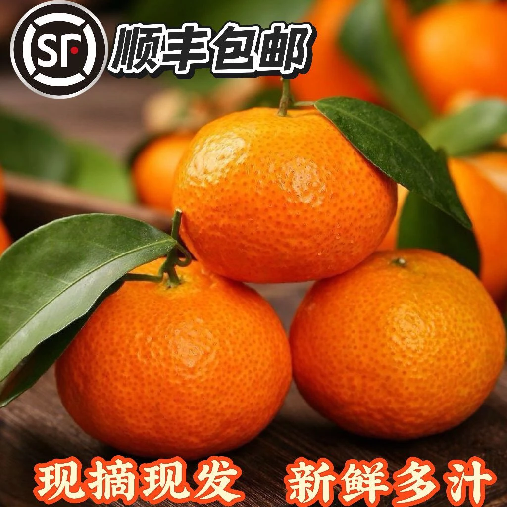 [顺丰]广西正宗砂糖橘小橘子鲜甜多汁新鲜采摘