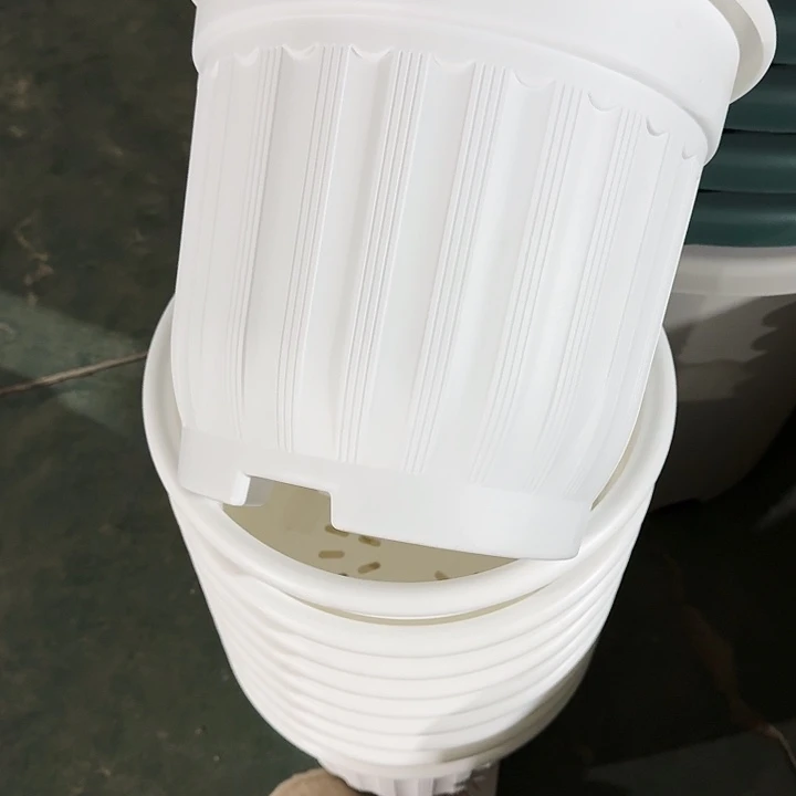 罗马盆纯白32口径无托6个