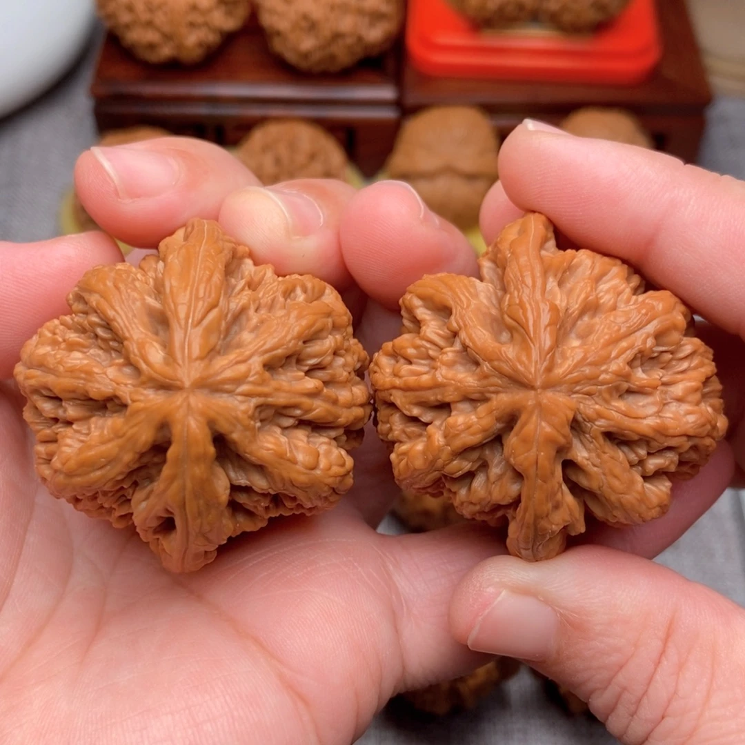 文玩核桃把件45全品毕业粗筋