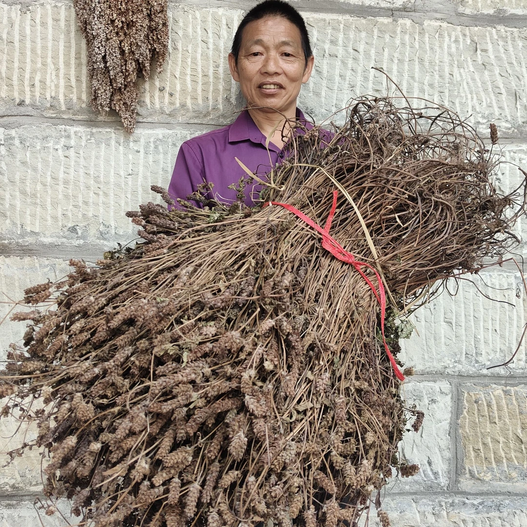 (助农直播）干野草花草 村民自己在山上采的