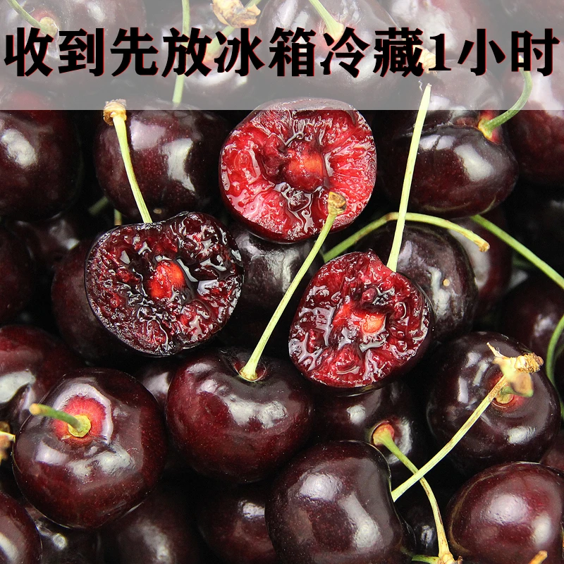 【2JD 冰箱保鲜】智利海运车厘子桑提娜 净重5斤 酸甜 内附果径卡