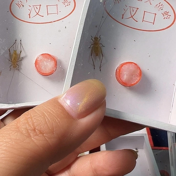 国***哈哈哈哈哈哈哈哈哈哈