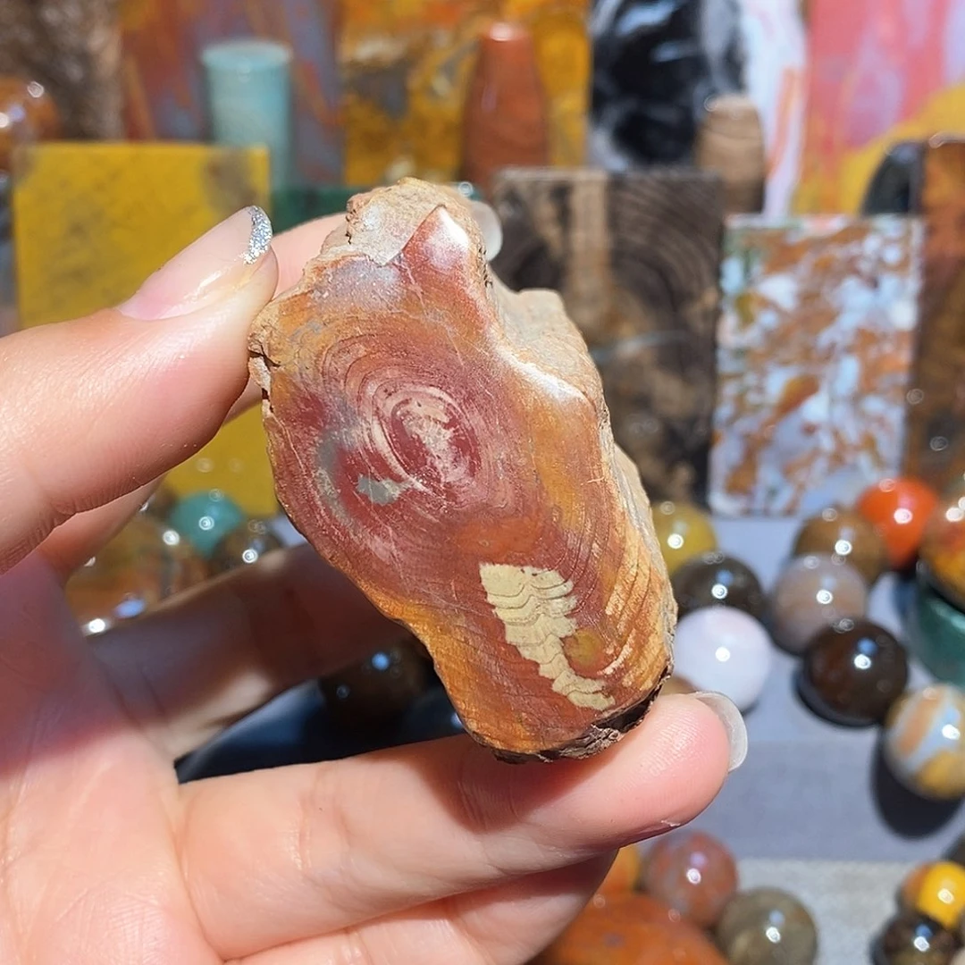 未镶嵌天然北票硅化玉原石硅化玉